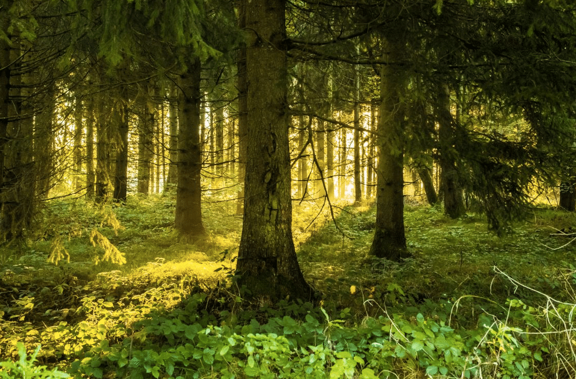 Réduire les droits de succession après 70 ans.
