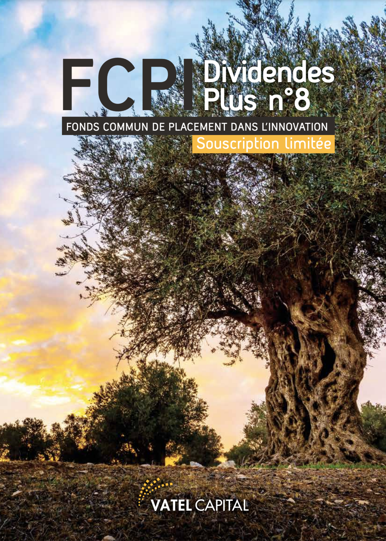 FCPI DIVIDENDE PLUS 8
