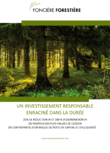 Investir dans les bois et forêts