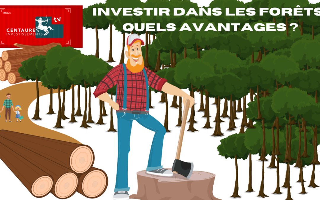 Investir dans les bois et forets