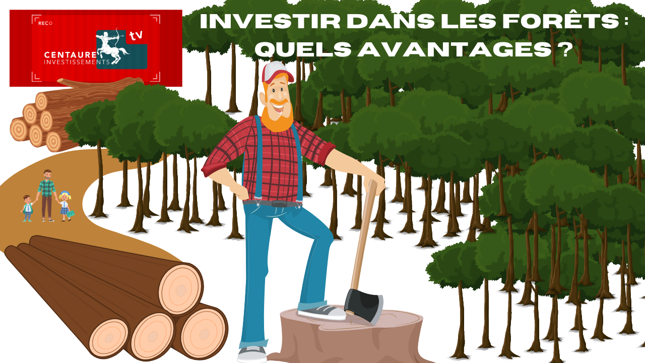 Investir dans les bois et forets