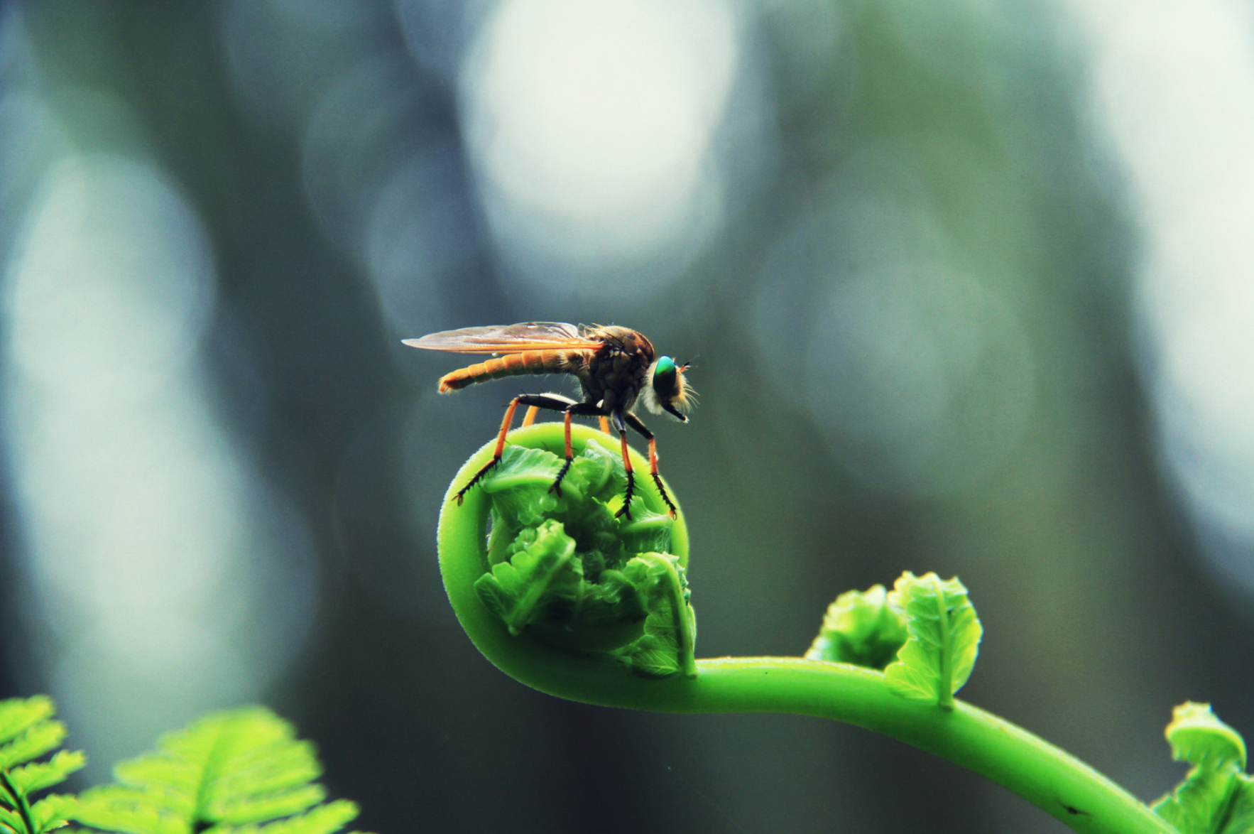Découvrir les fonds thématiques