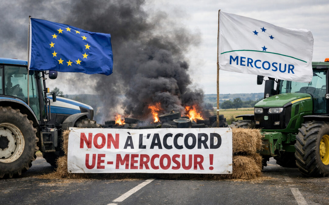 UE–Mercosur : l’heure du choix