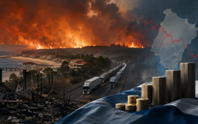 Incendies en Gironde : le choc économique